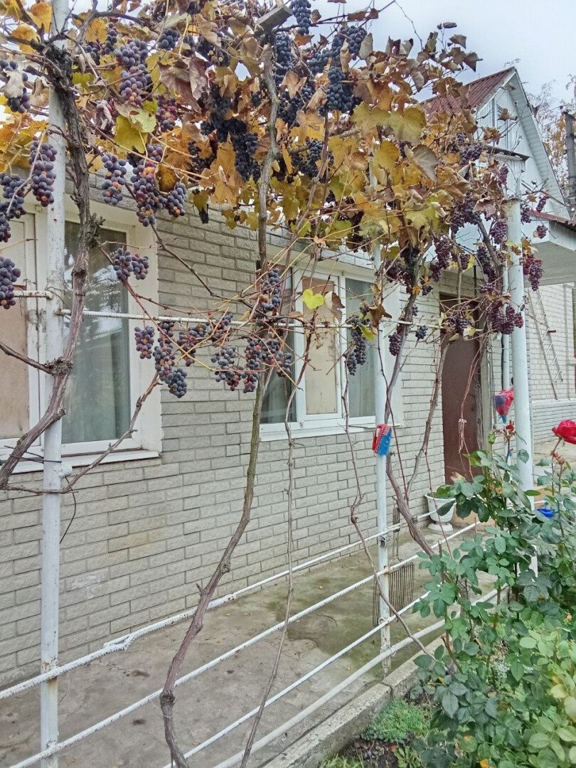 Фото №6: Дом 117&nbsp;м² + 6&nbsp;сот., 2&nbsp;эт. - Мариуполь, р. Левобережный, пер. Нежинский, 4