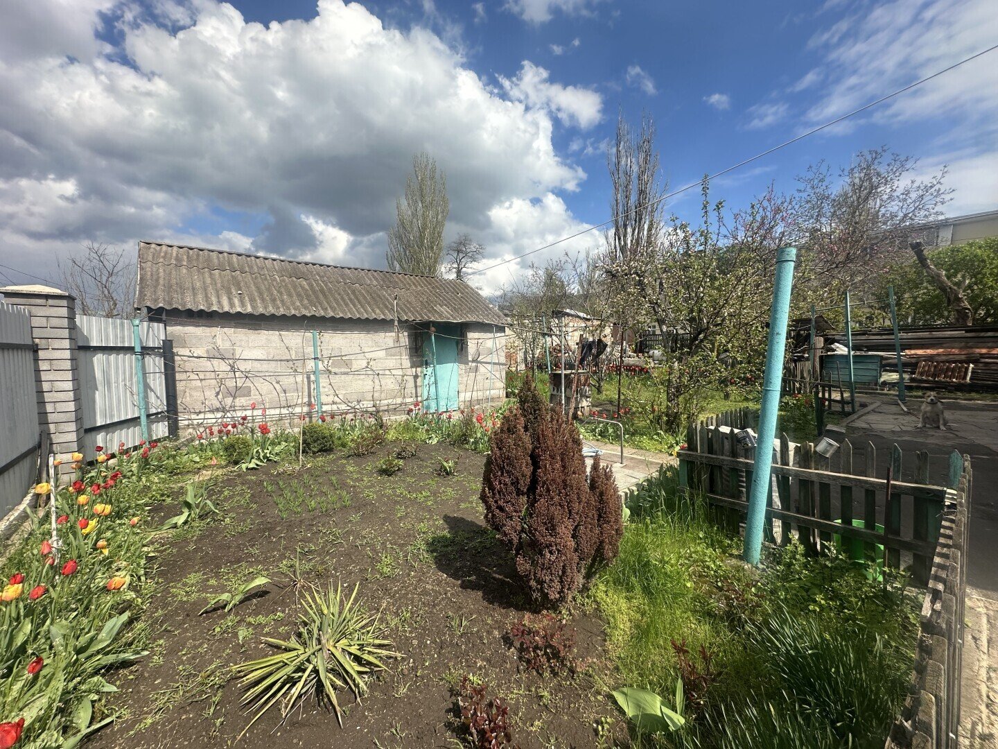Фото №5: Дом 123&nbsp;м² + 4.96&nbsp;сот., 1&nbsp;эт. - Мариуполь, р. Приморский, ул. Балтийская, 11