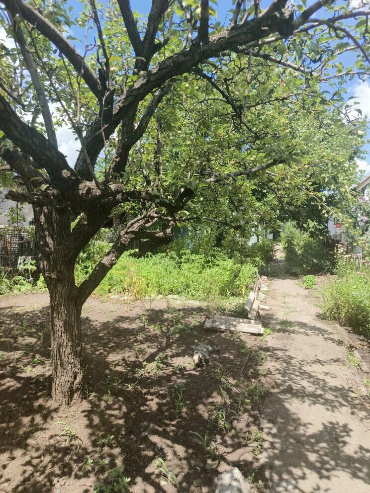 Фото №7: Дом 45&nbsp;м² + 4&nbsp;сот., 1&nbsp;эт. - Мариуполь, Ильичёвский, п. Горький, ул. Васнецова, 216