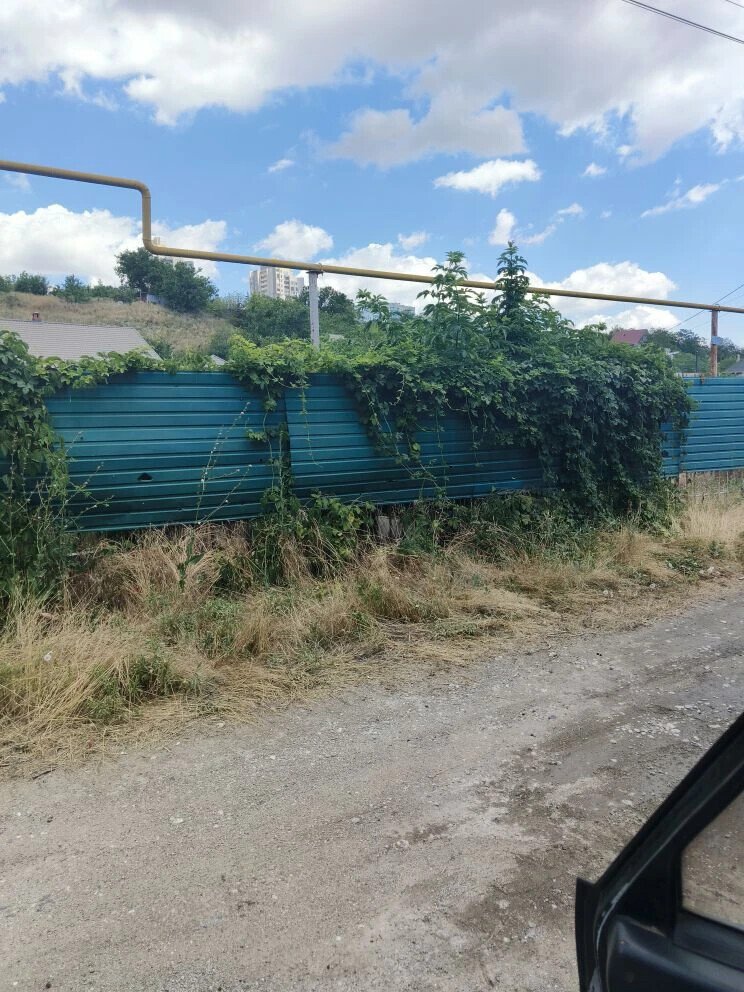 Фото №1: Земельный участок под ИЖС 6.19&nbsp;сот. - Мариуполь, Левобережный, мкр. поселок Найдёновка, ул. Лозовая, 10