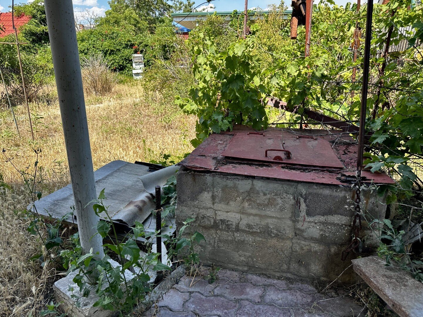 Фото №2: Дача 45&nbsp;м² + 412&nbsp;сот., 1&nbsp;эт. - Приморское, Левобережный, мкр. СНТ Солнечный, 48