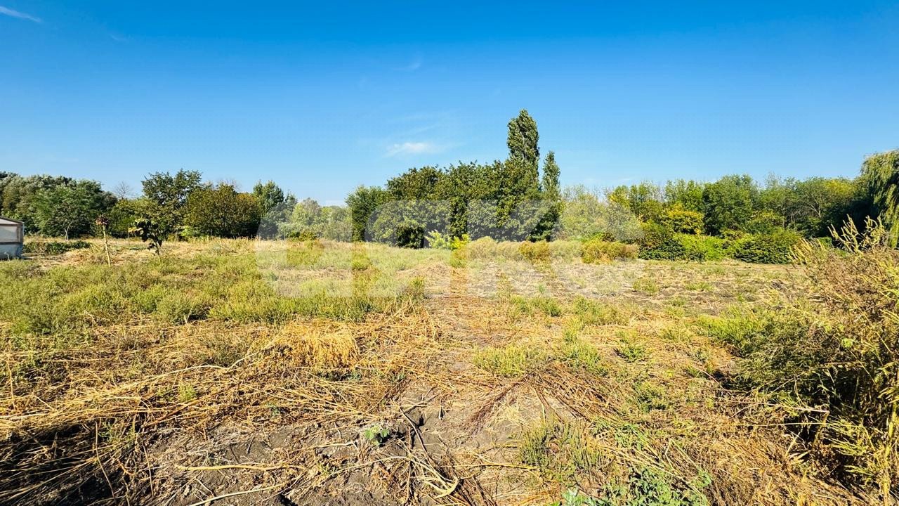 Фото №19: Дом 53&nbsp;м² + 28.7&nbsp;сот., 1&nbsp;эт. - Левченко, ул. Центральная, 10