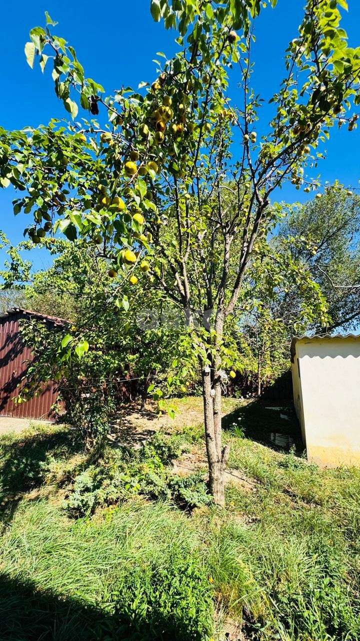 Фото №9: Часть дома 130&nbsp;м² + 8.38&nbsp;сот., 1&nbsp;эт. - Кореновск, мкр. 1-й квартал, ул. Фрунзе