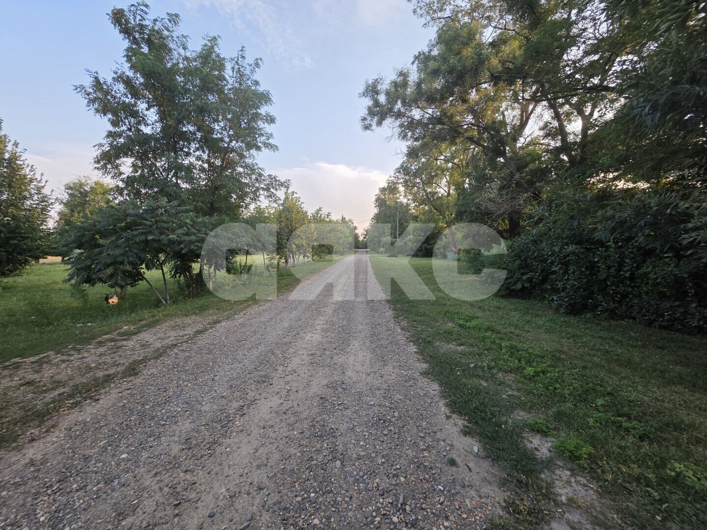 Фото №4: Дом 38&nbsp;м² + 40&nbsp;сот., 1&nbsp;эт. - Раздольный, ул. Зелёная, 13