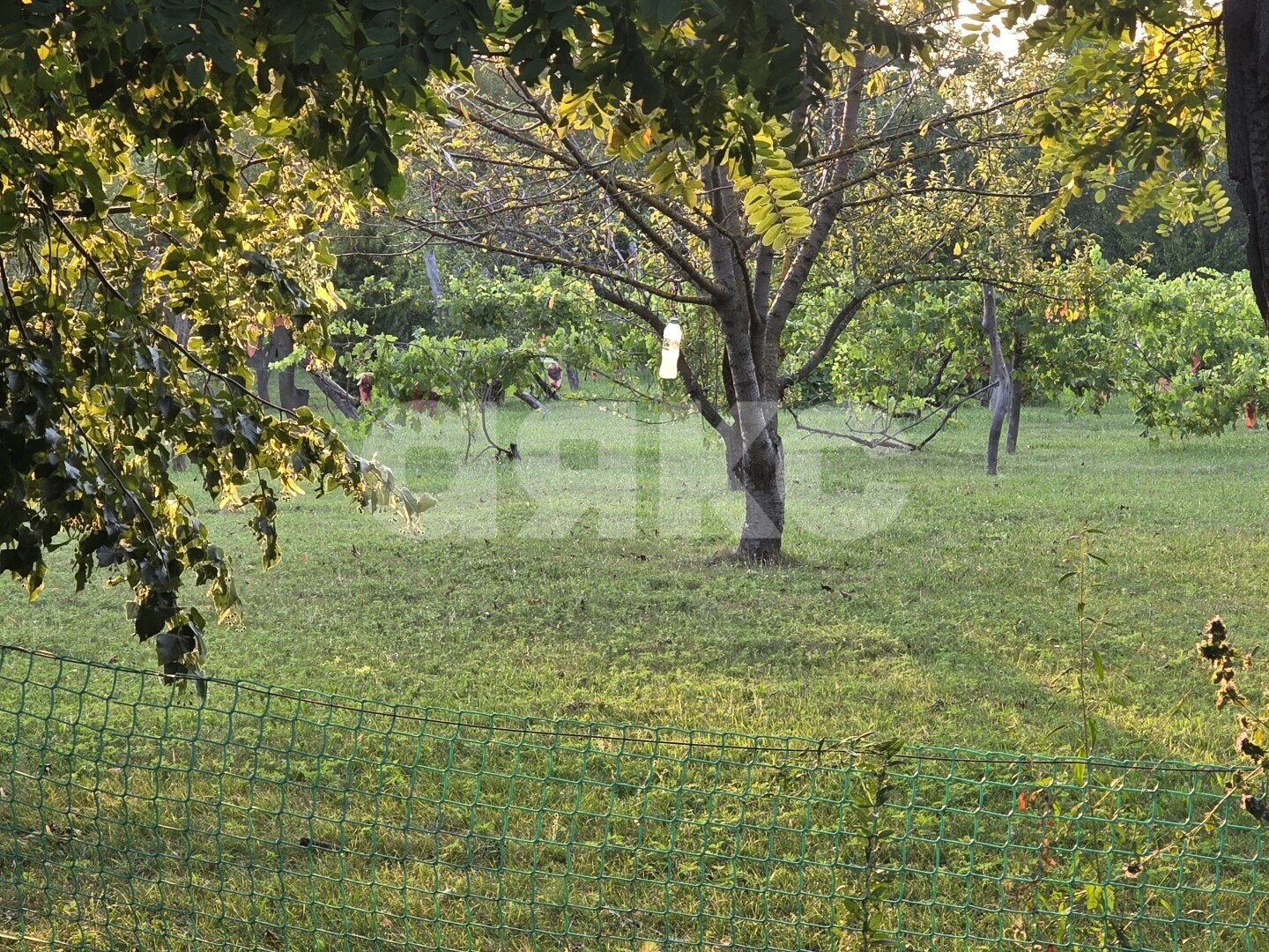 Фото №5: Дом 38&nbsp;м² + 40&nbsp;сот., 1&nbsp;эт. - Раздольный, ул. Зелёная, 13