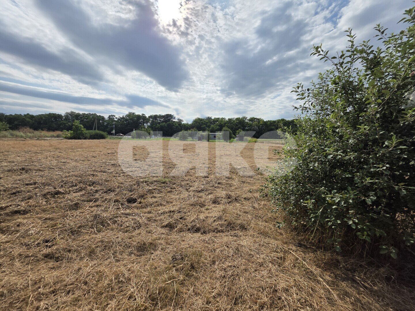 Фото №10: Дом 38&nbsp;м² + 40&nbsp;сот., 1&nbsp;эт. - Раздольный, ул. Зелёная, 13