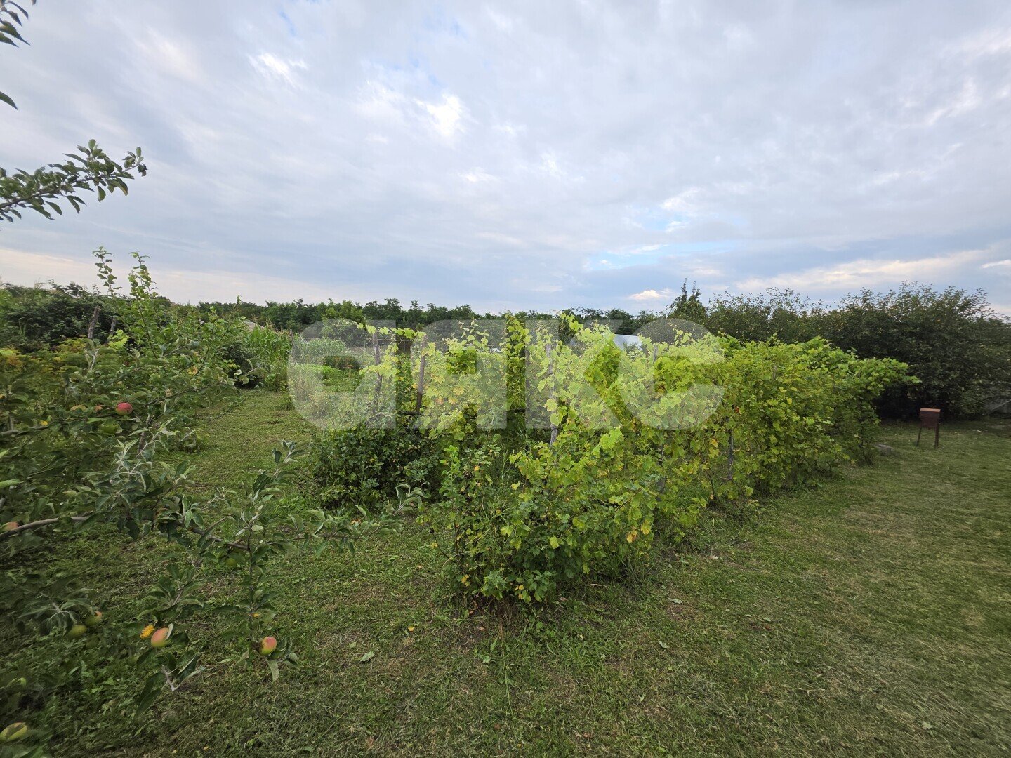 Фото №8: Дом 38&nbsp;м² + 40&nbsp;сот., 1&nbsp;эт. - Раздольный, ул. Зелёная, 13