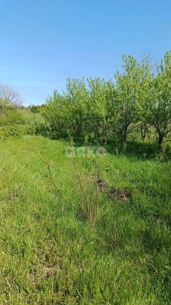 Фото №3: Личное подсобное хозяйство 43.87&nbsp;сот. - Гиагинская, ул. Колхозная, 2