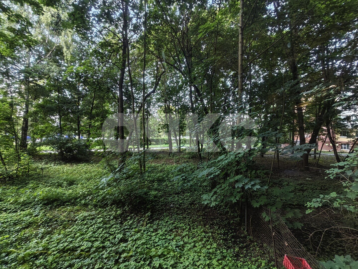 Фото №13: 3-комнатная квартира 56&nbsp;м², 1/5&nbsp;эт. - Жуковский, ул. Гагарина, 13
