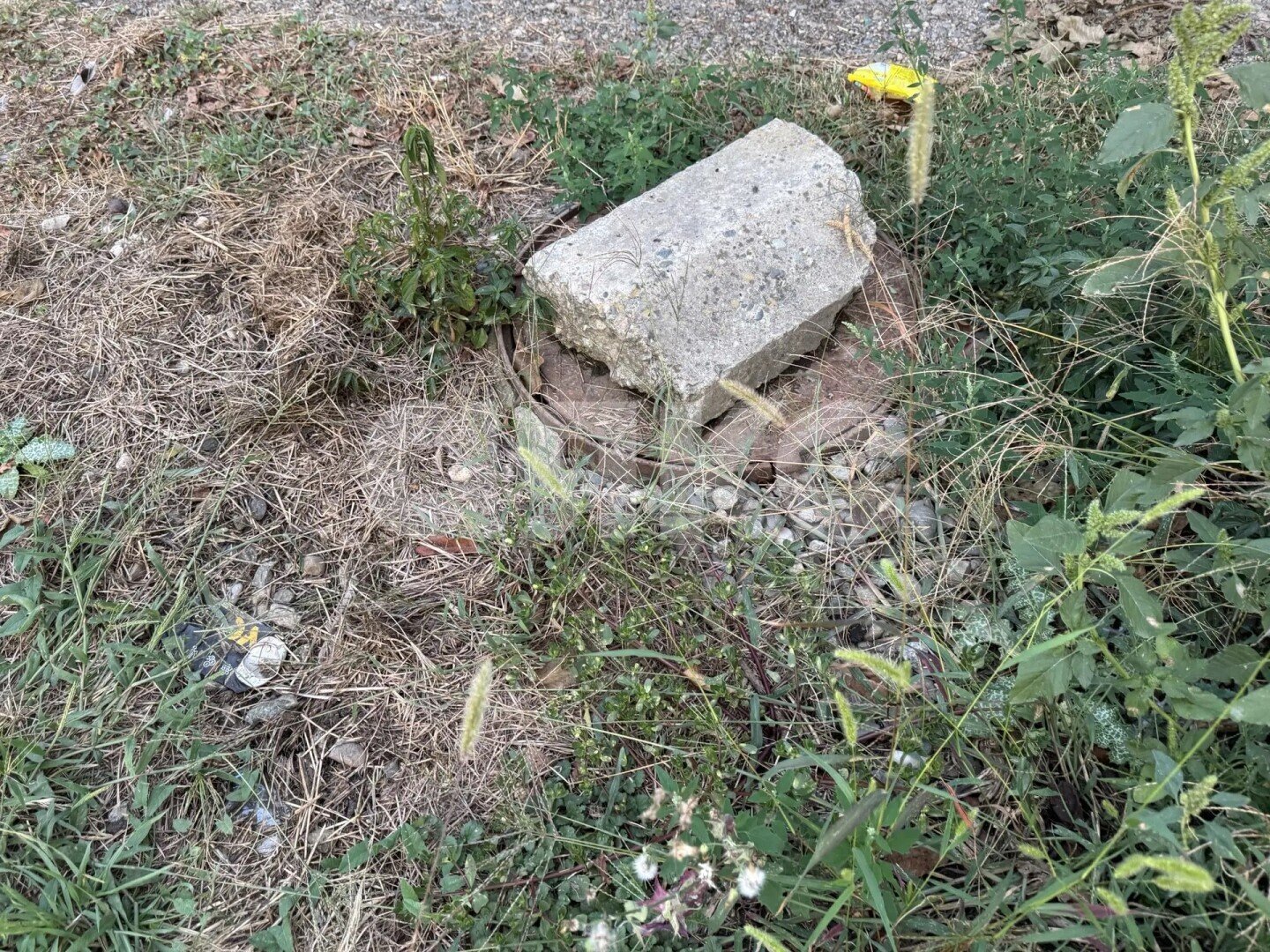 Фото №9: Земельный участок под ИЖС 3.3&nbsp;сот. - Армавир, ул. Горького, 288