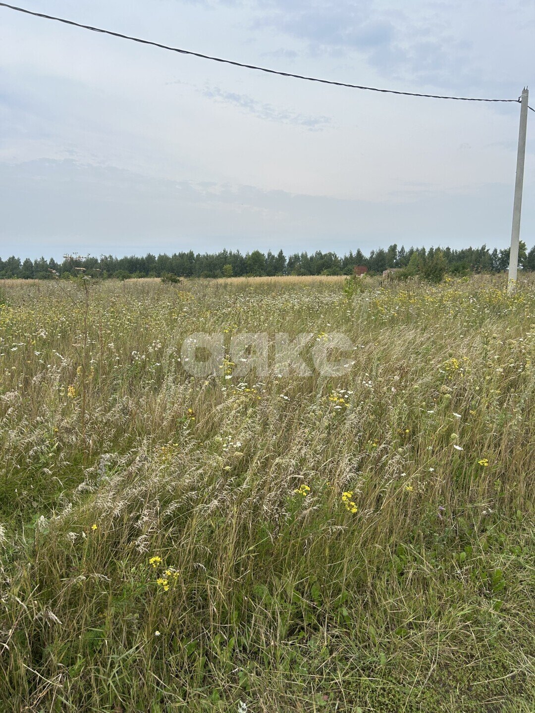Фото №3: Земельный участок под ИЖС 15&nbsp;сот. - Сенцово, ул. 70 лет Октября