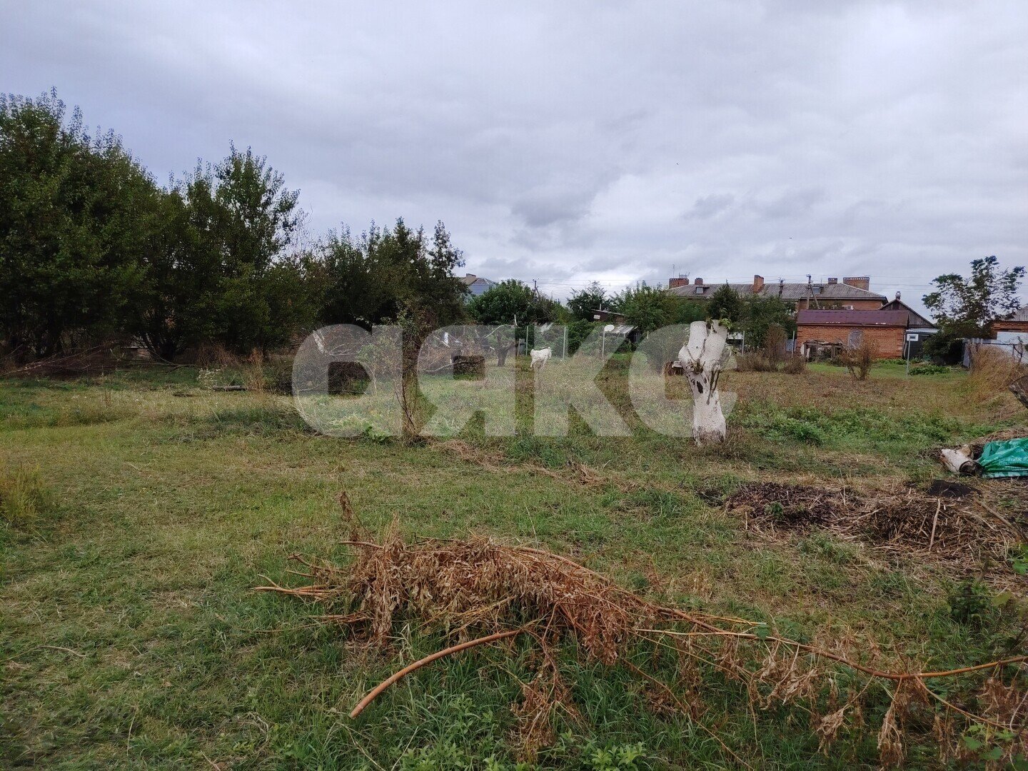 Фото №6: Земельный участок под ИЖС 4.5&nbsp;сот. - Платнировская, ул. Красная