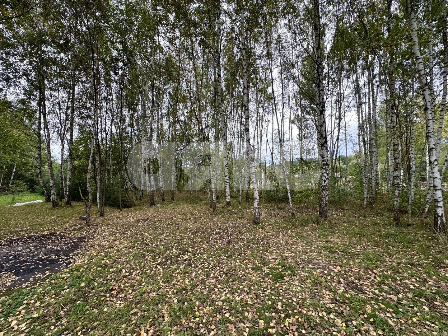 Фото №15: Земельный участок под ИЖС 6&nbsp;сот. - Донино