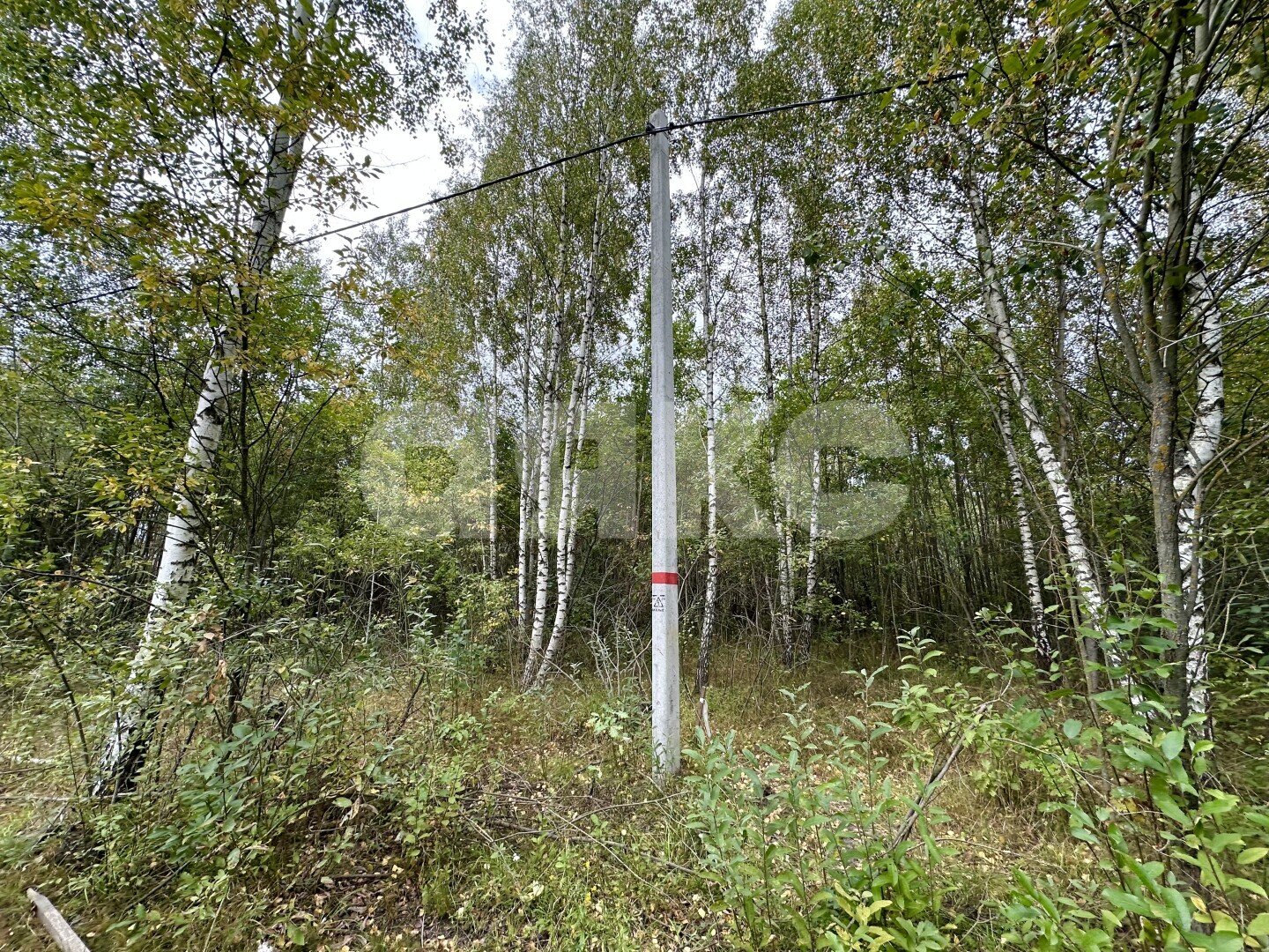 Фото №8: Земельный участок под ИЖС 6&nbsp;сот. - Донино
