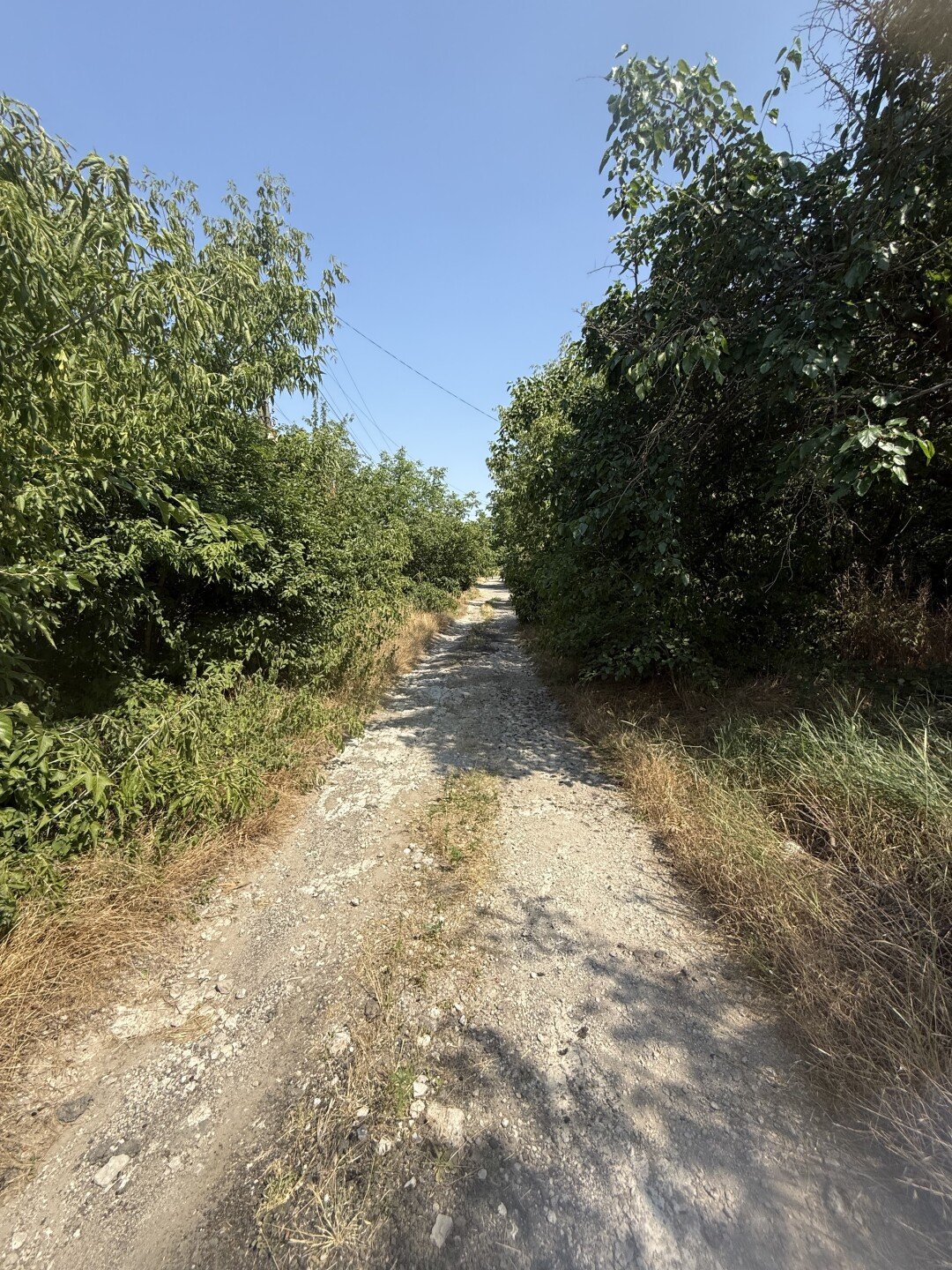 Фото №2: Дом 36&nbsp;м² + 7.54&nbsp;сот., 1&nbsp;эт. - Мариуполь, р. Жовтневый, ул. Никитина, 8