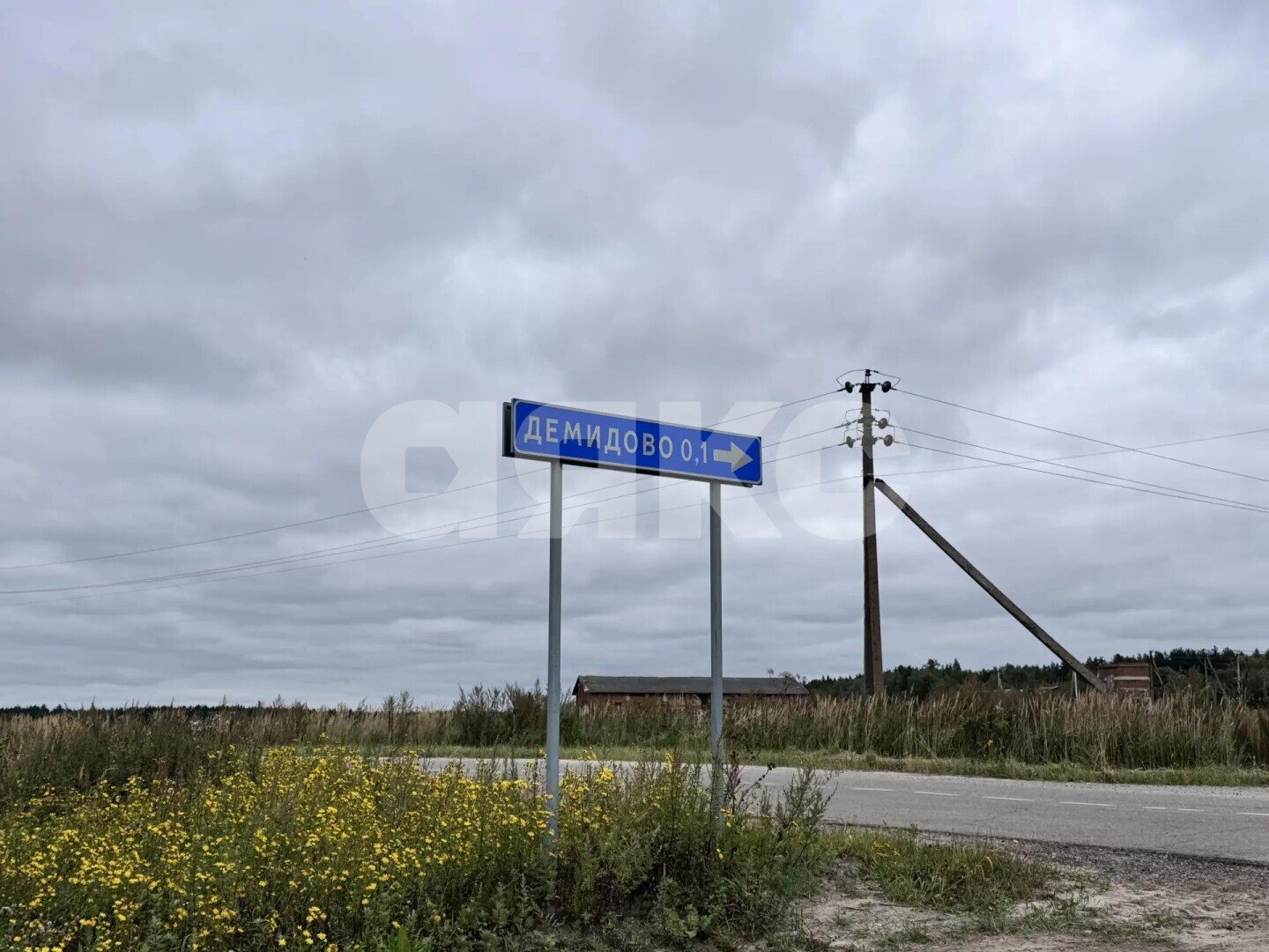 Фото №8: Коммерческая земля 260&nbsp;сот. - Демидово, ул. Садовая