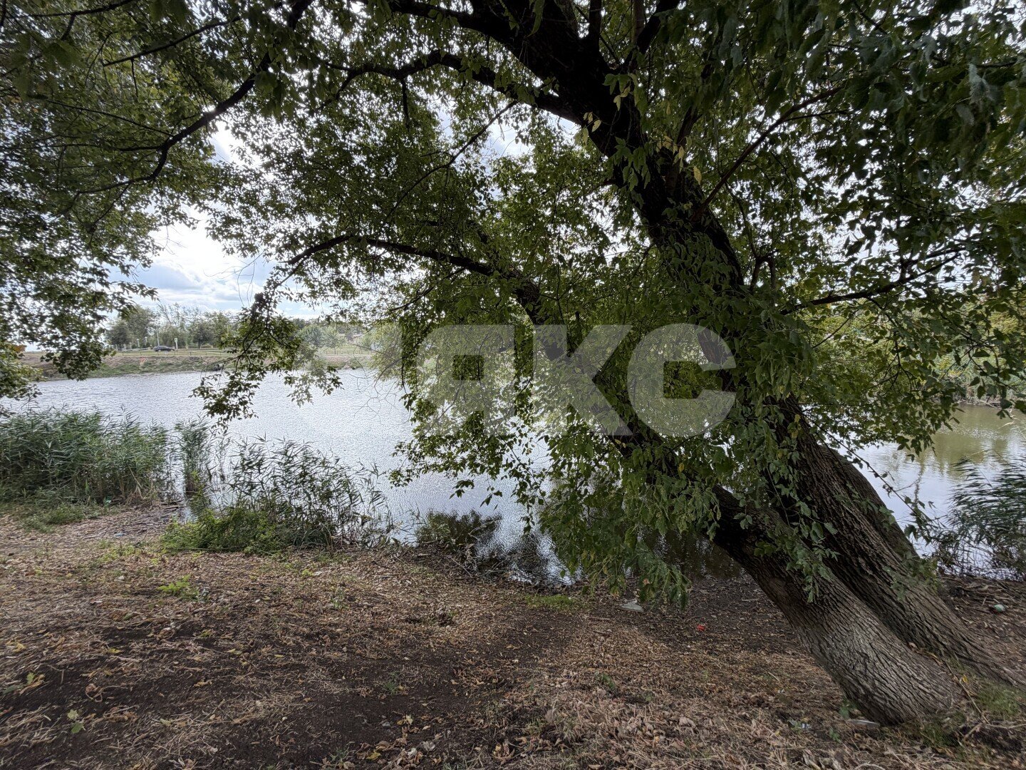 Фото №35: Земельный участок под ИЖС 38.5&nbsp;сот. - Кореновск, мкр. 4-й квартал, ул. Мира, 113А