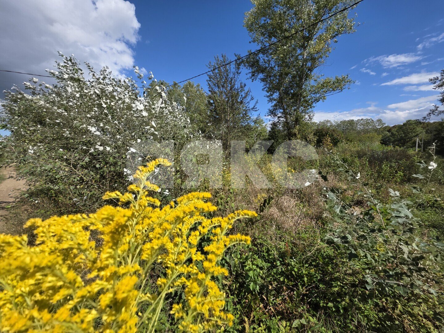 Фото №14: Земельный участок под ИЖС 6&nbsp;сот. - Саратовская, мкр. 4-й, ул. Ручейная