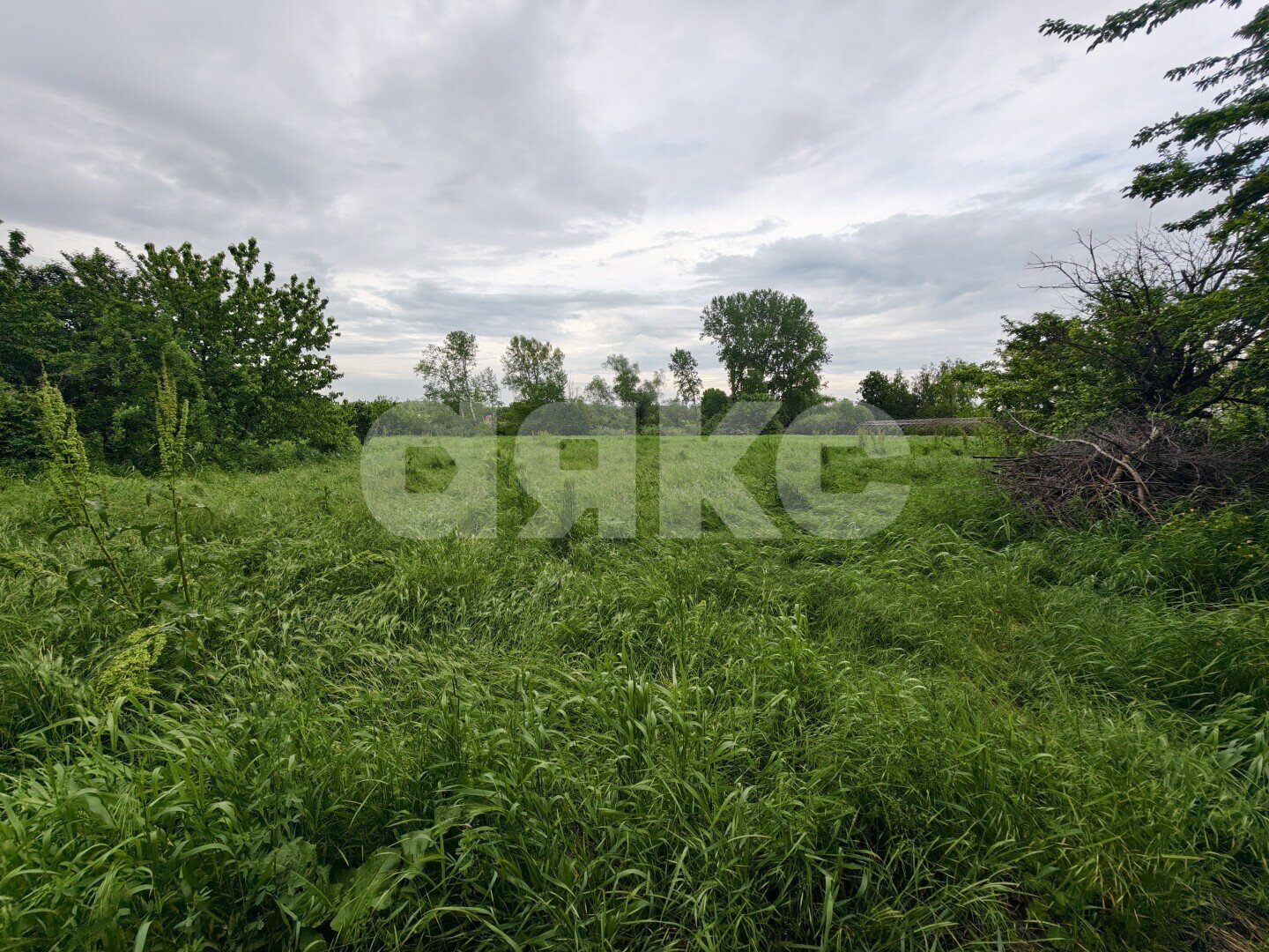 Фото №10: Земельный участок под ИЖС 23.27&nbsp;сот. - Казаче-Малёваный, ул. Южная, 210