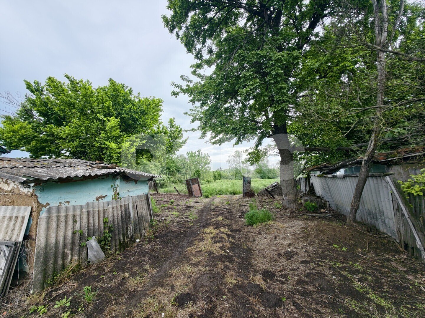Фото №8: Земельный участок под ИЖС 23.27&nbsp;сот. - Казаче-Малёваный, ул. Южная, 210