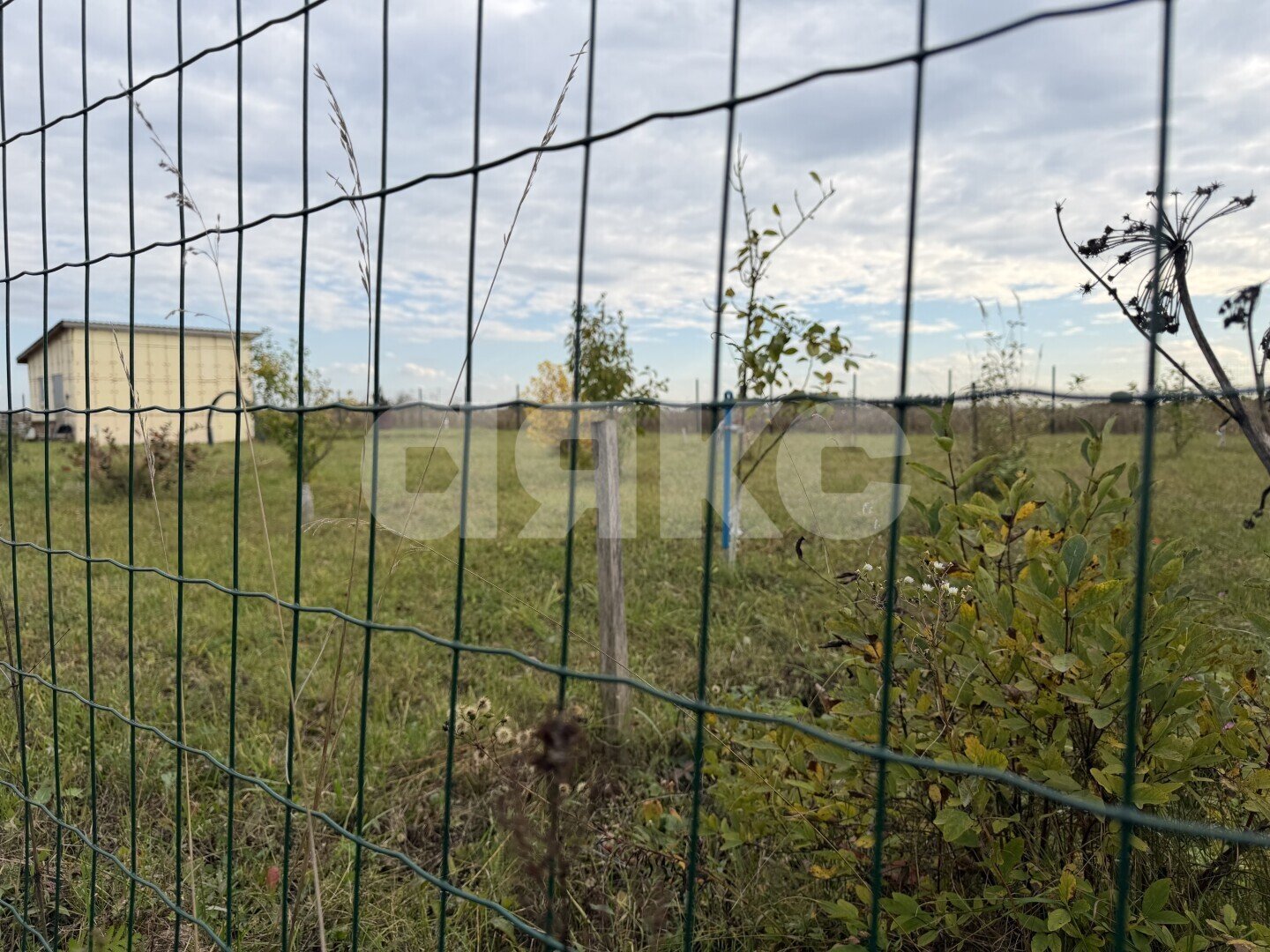 Фото №3: Земельный участок под ИЖС 9.86&nbsp;сот. - Раменское, ул. Дальняя