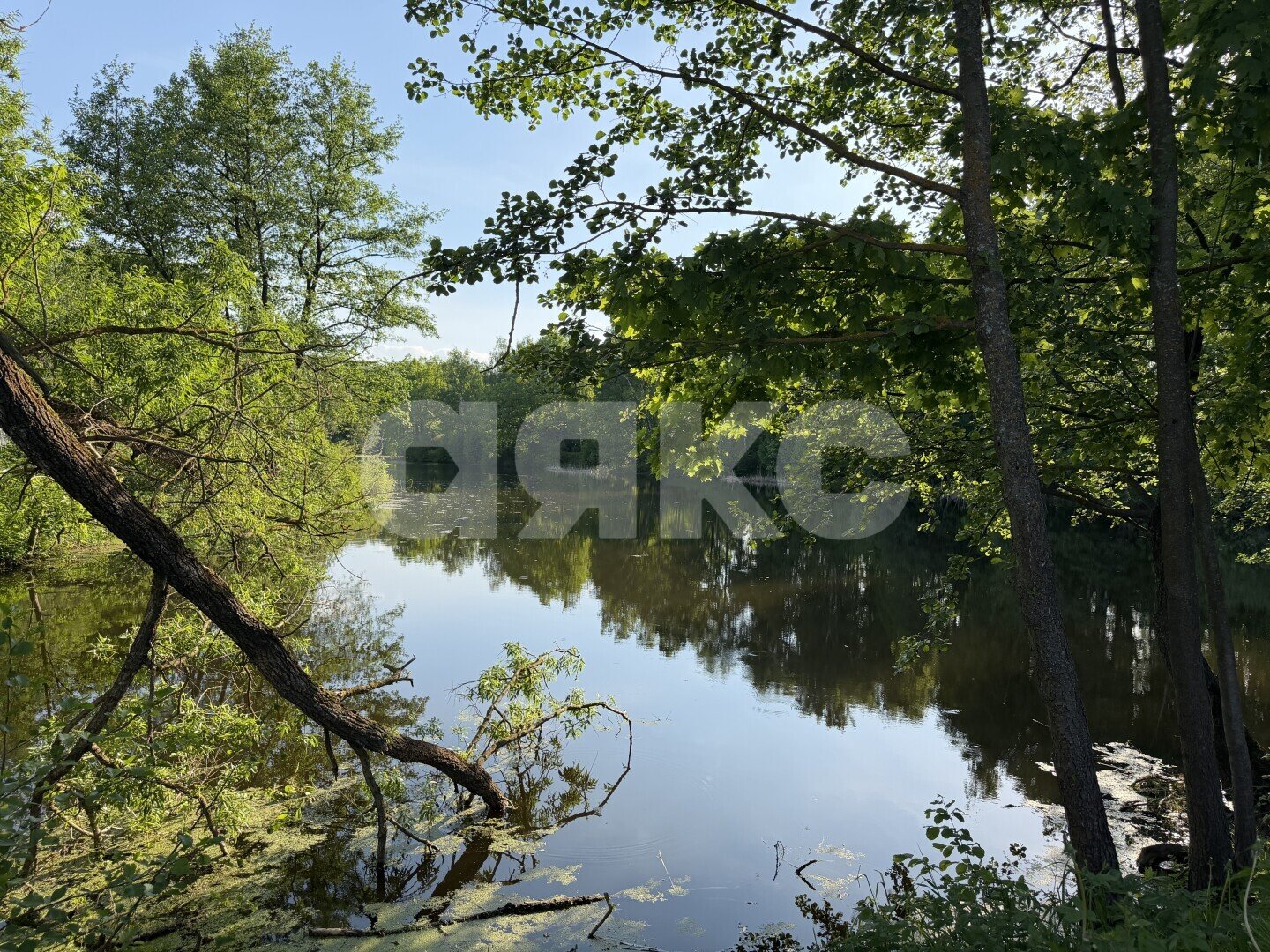 Фото №36: Дом 91&nbsp;м² + 26&nbsp;сот., 2&nbsp;эт. - Слободино, ул. Новая, 11А