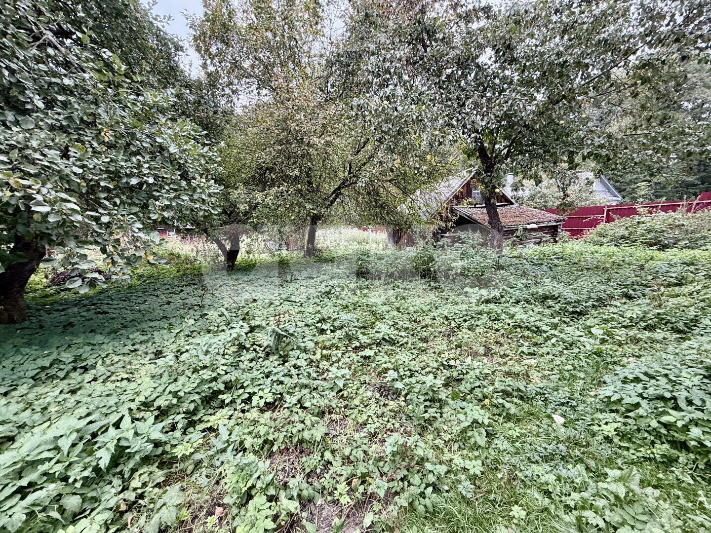 Фото №16: Дом 48&nbsp;м² + 12.4&nbsp;сот., 1&nbsp;эт. - Хорлово, ул. 2-я Пятилетка