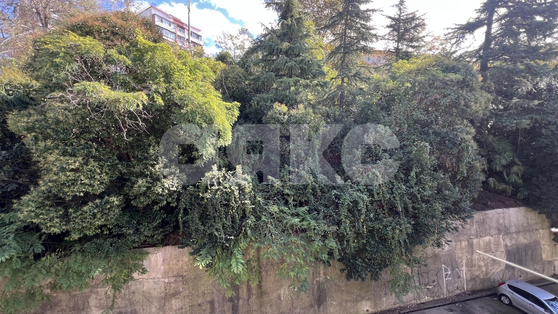Фото №5: Студия 18&nbsp;м², 4/5&nbsp;эт. - Сочи, Центральный, мкр. Донская, ул. Пасечная, 39