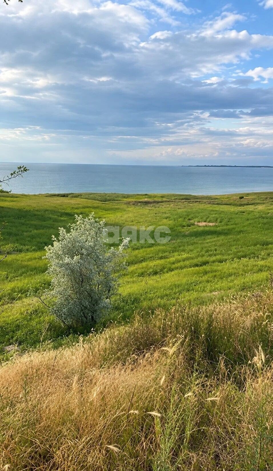 Фото №11: Коммерческая земля 3.3&nbsp;сот. - Золотая Коса, ул. Новаторов, 13
