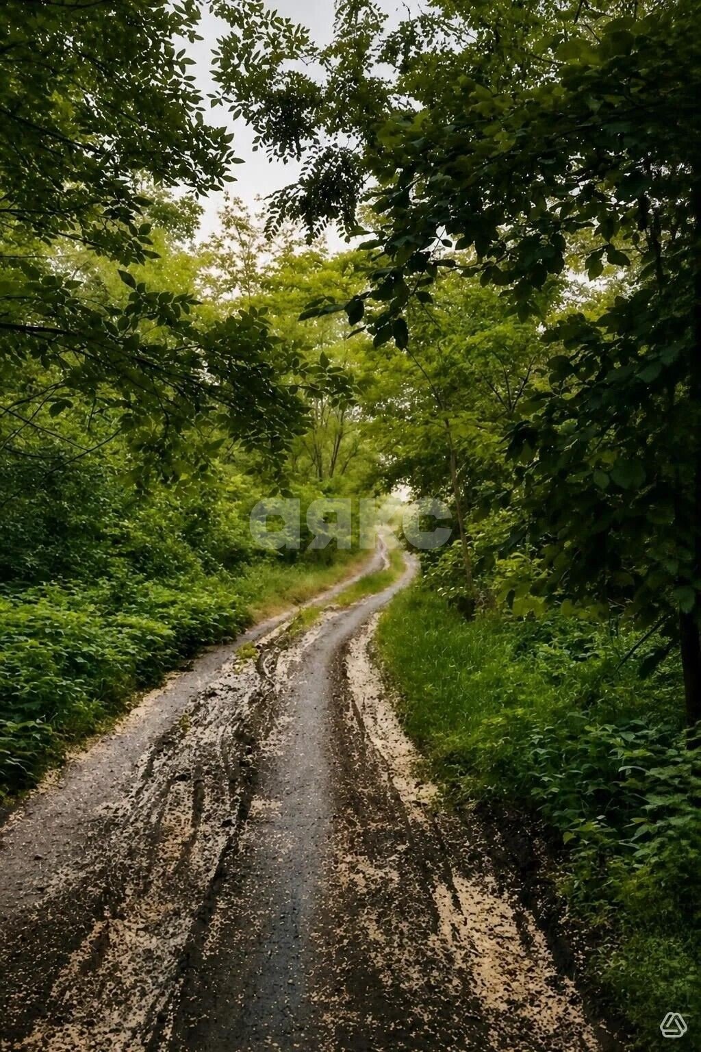 Фото №12: Коммерческая земля 3.3&nbsp;сот. - Золотая Коса, ул. Новаторов, 13