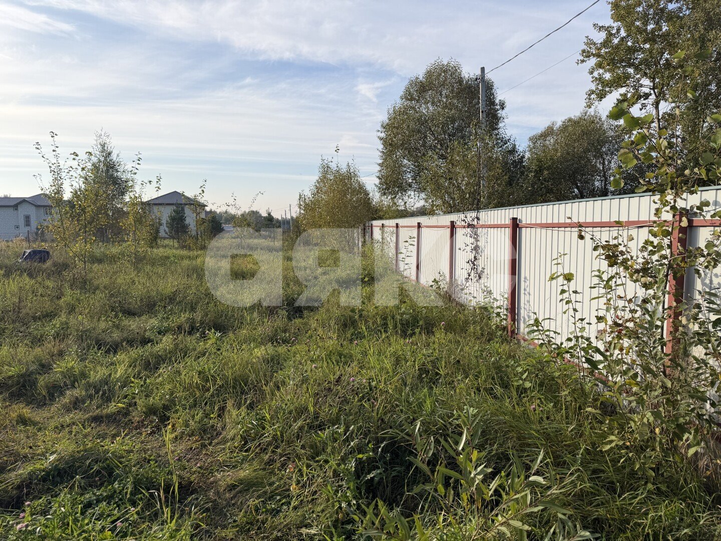 Фото №6: Личное подсобное хозяйство 24.68&nbsp;сот. - Донино, ул. Центральная, 23/3