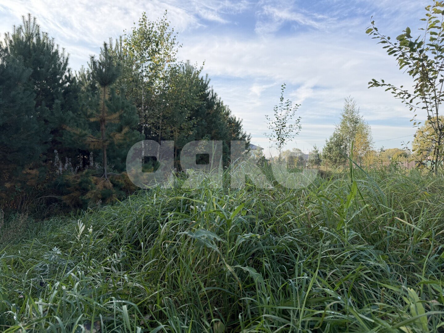 Фото №5: Личное подсобное хозяйство 24.68&nbsp;сот. - Донино, ул. Центральная, 23/3