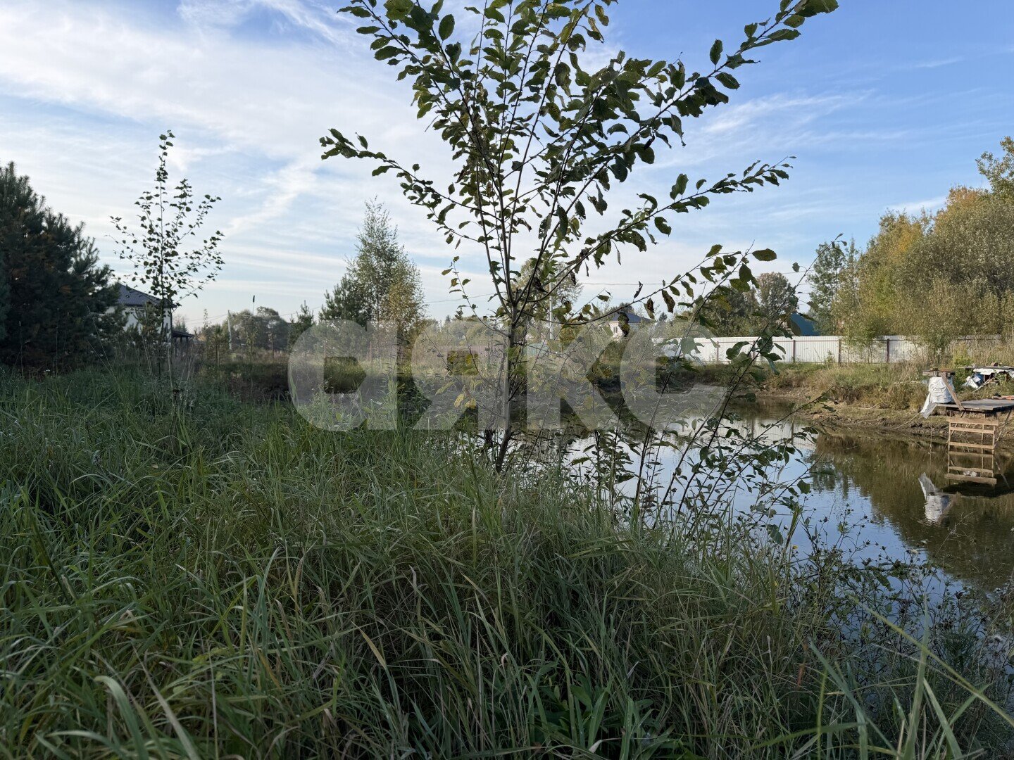Фото №4: Личное подсобное хозяйство 24.68&nbsp;сот. - Донино, ул. Центральная, 23/3