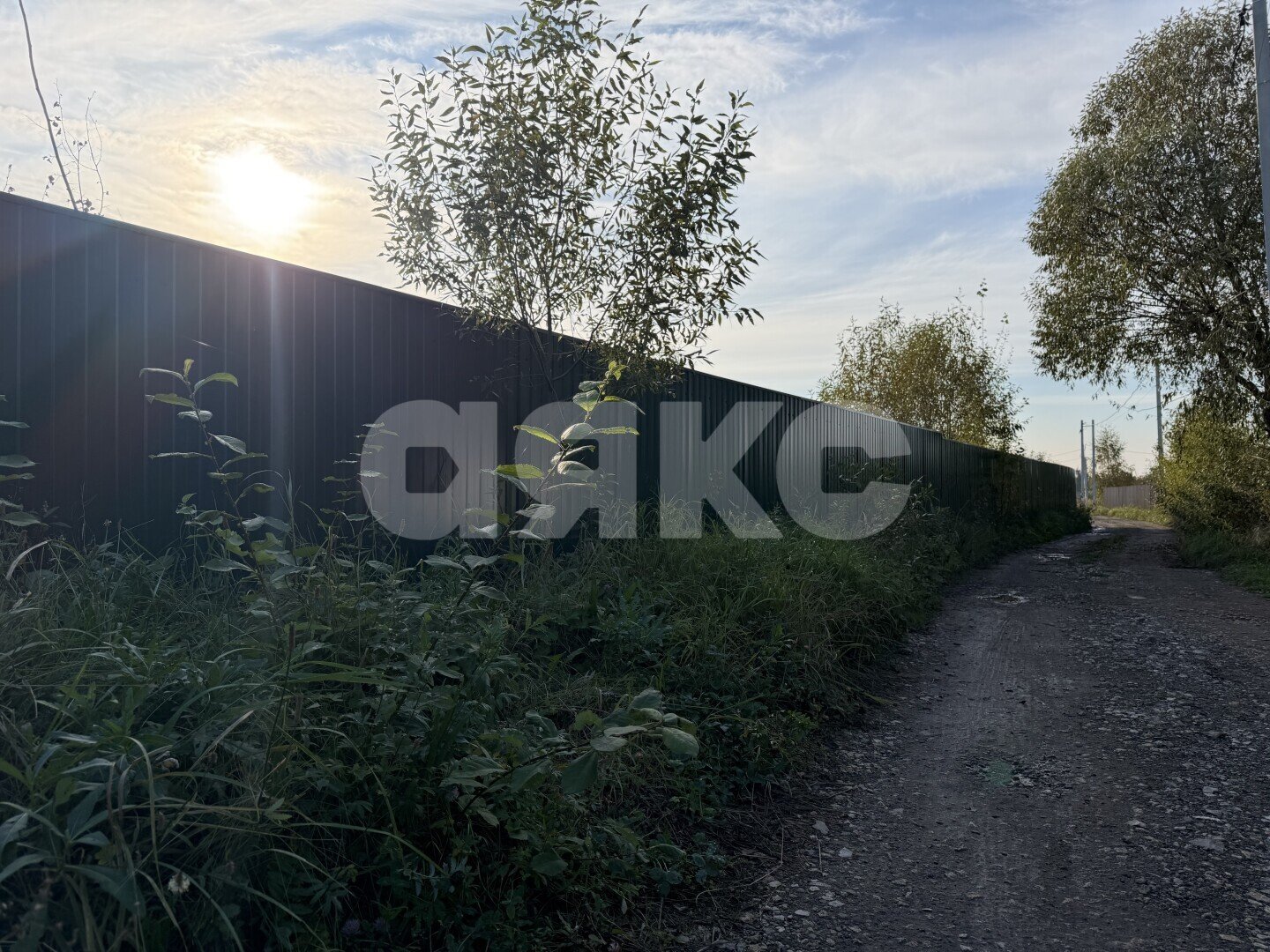 Фото №7: Личное подсобное хозяйство 24.68&nbsp;сот. - Донино, ул. Центральная, 23/3