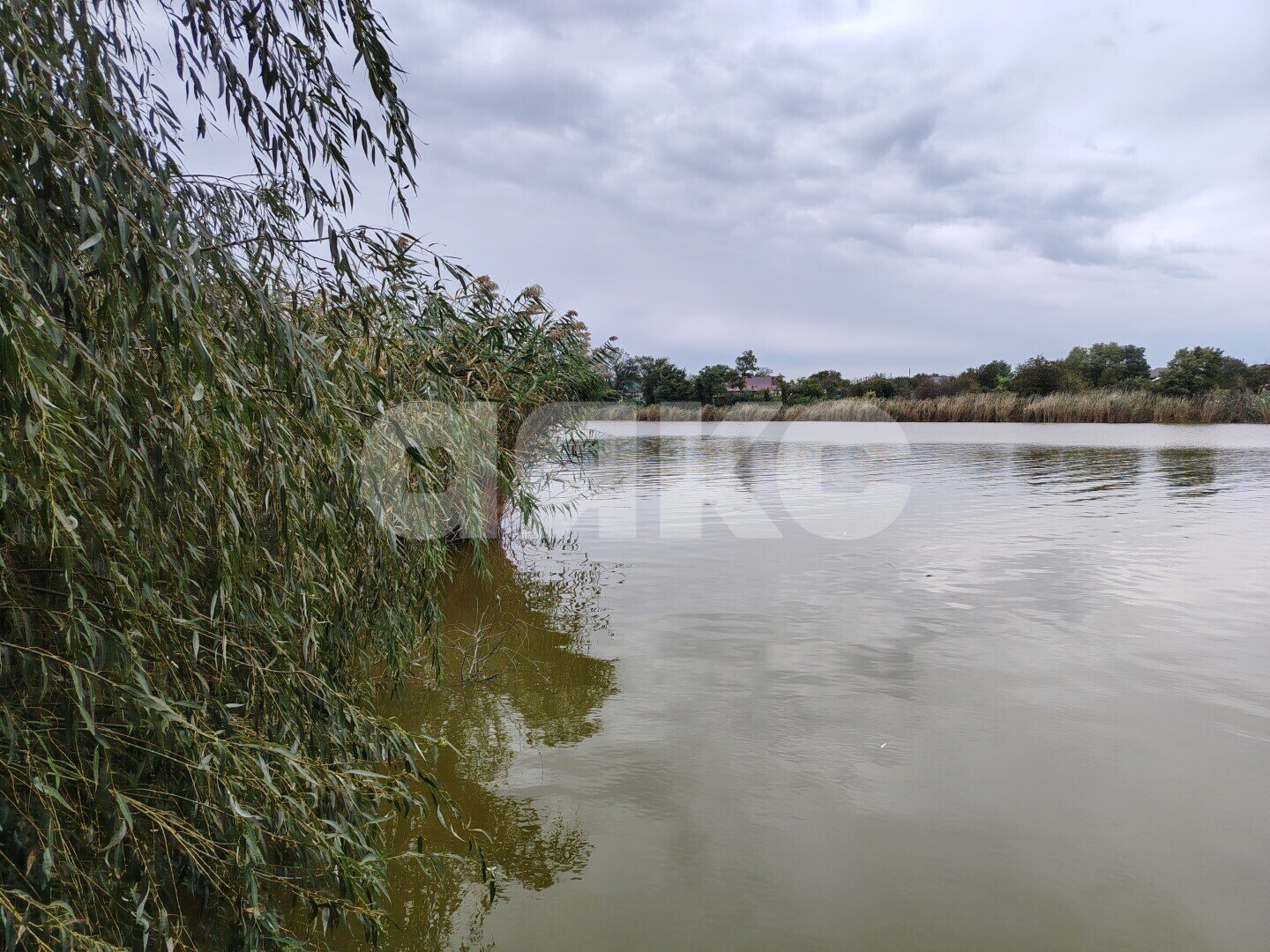 Фото №17: Личное подсобное хозяйство 30&nbsp;сот. - Платнировская, ул. Некрасова, 75