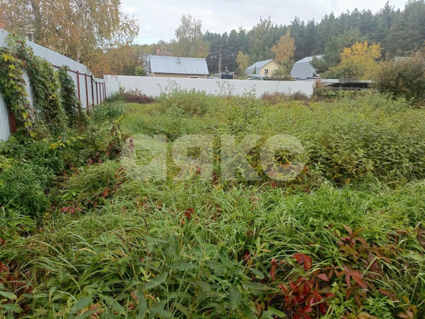 Фото №2: Участок садоводство 6&nbsp;сот. - СНТ Стрела-2, 31
