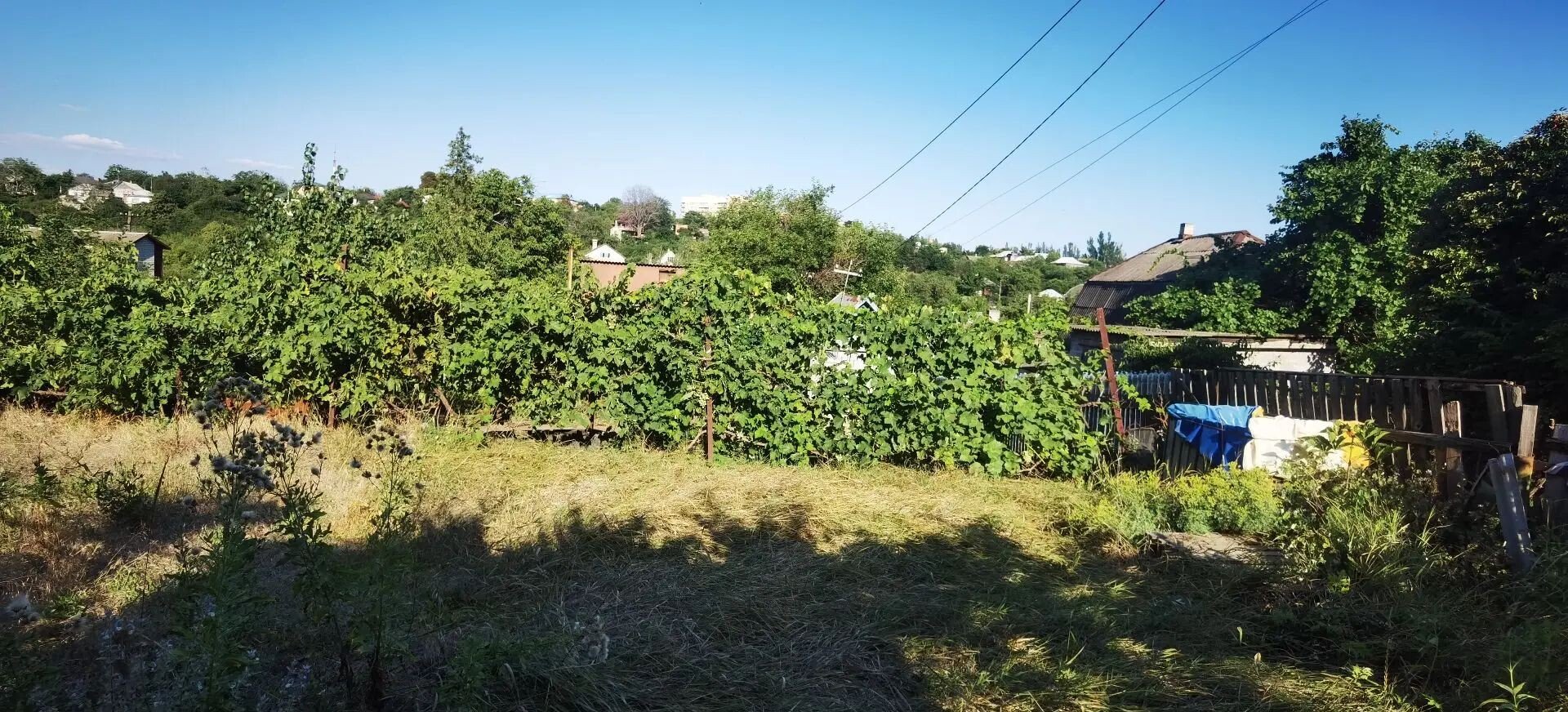Фото №4: Участок садоводство 3.61&nbsp;сот. - Мариуполь, р. Приморский, пер. Днепропетровский