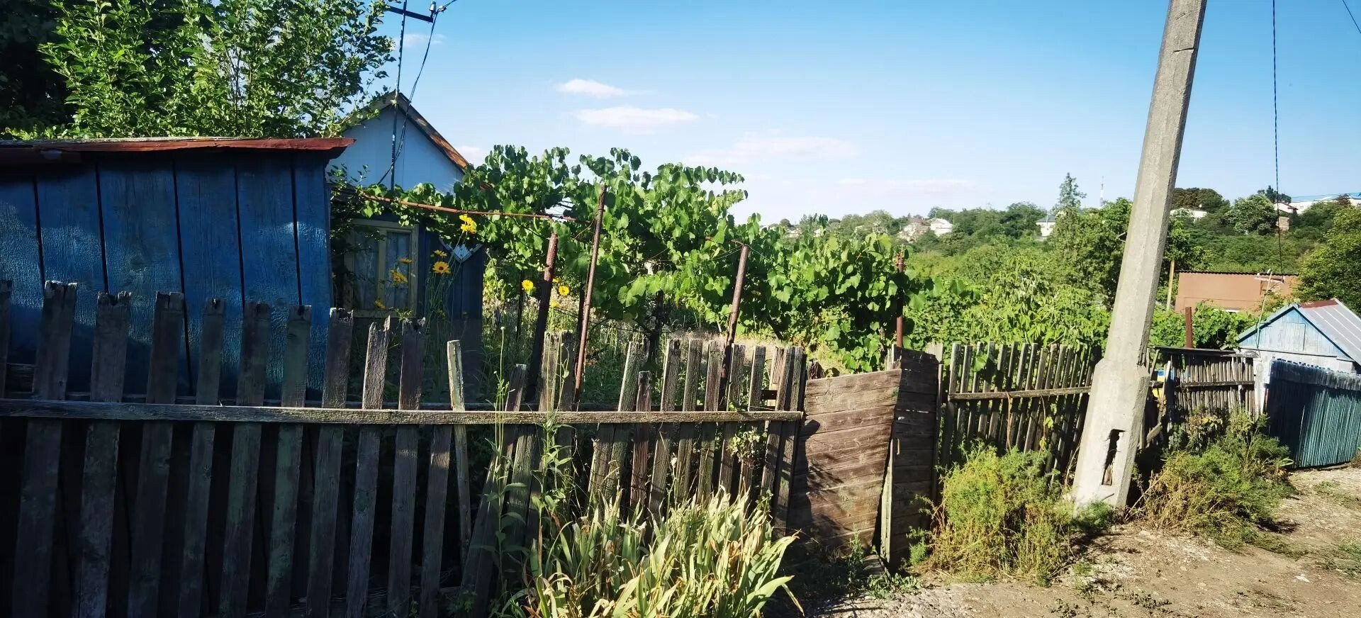 Фото №5: Участок садоводство 3.61&nbsp;сот. - Мариуполь, р. Приморский, пер. Днепропетровский