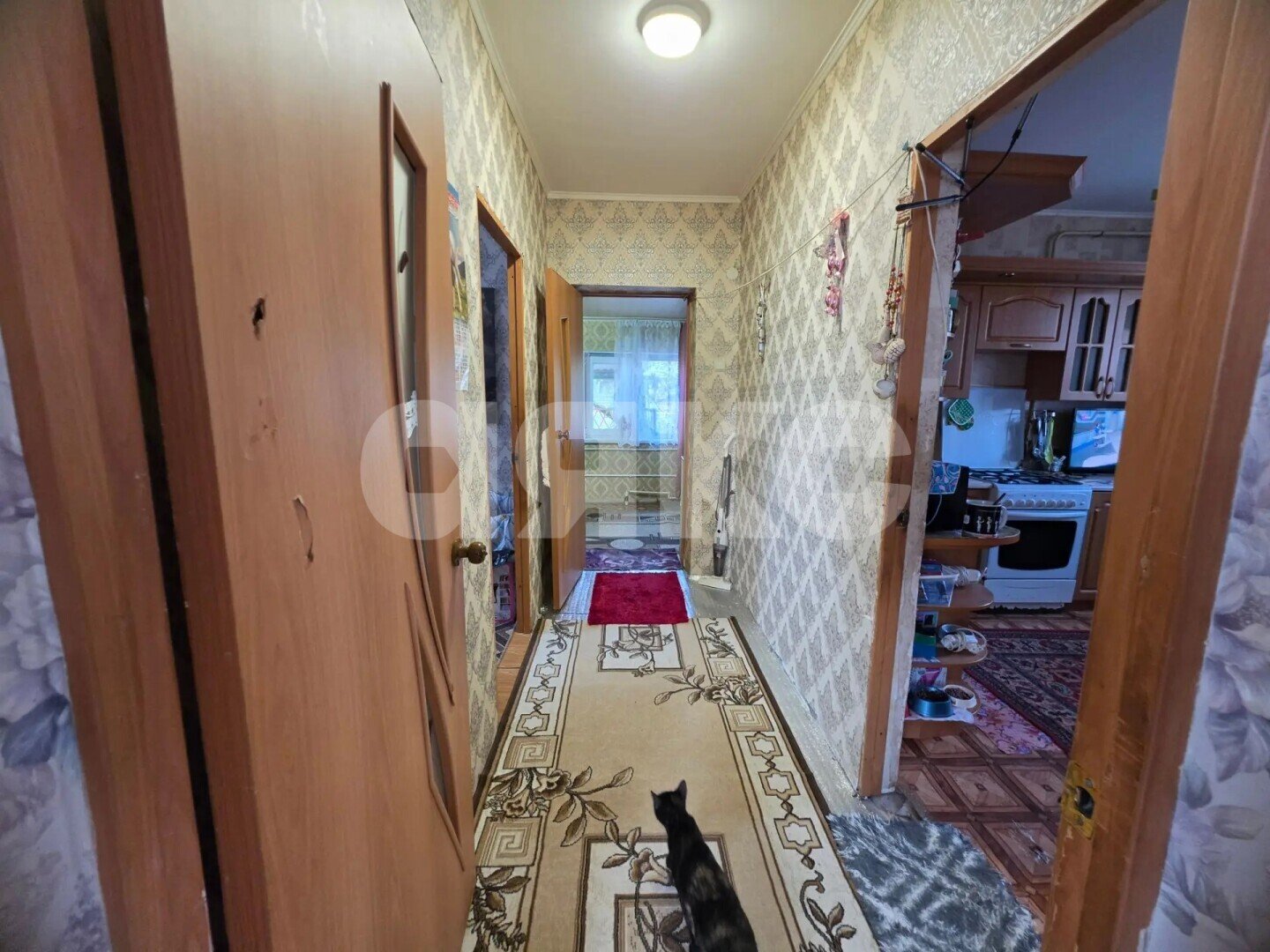 Фото №11: Дом 80&nbsp;м² + 9.68&nbsp;сот., 1&nbsp;эт. - Новоберезанский, ул. Восточная, 65