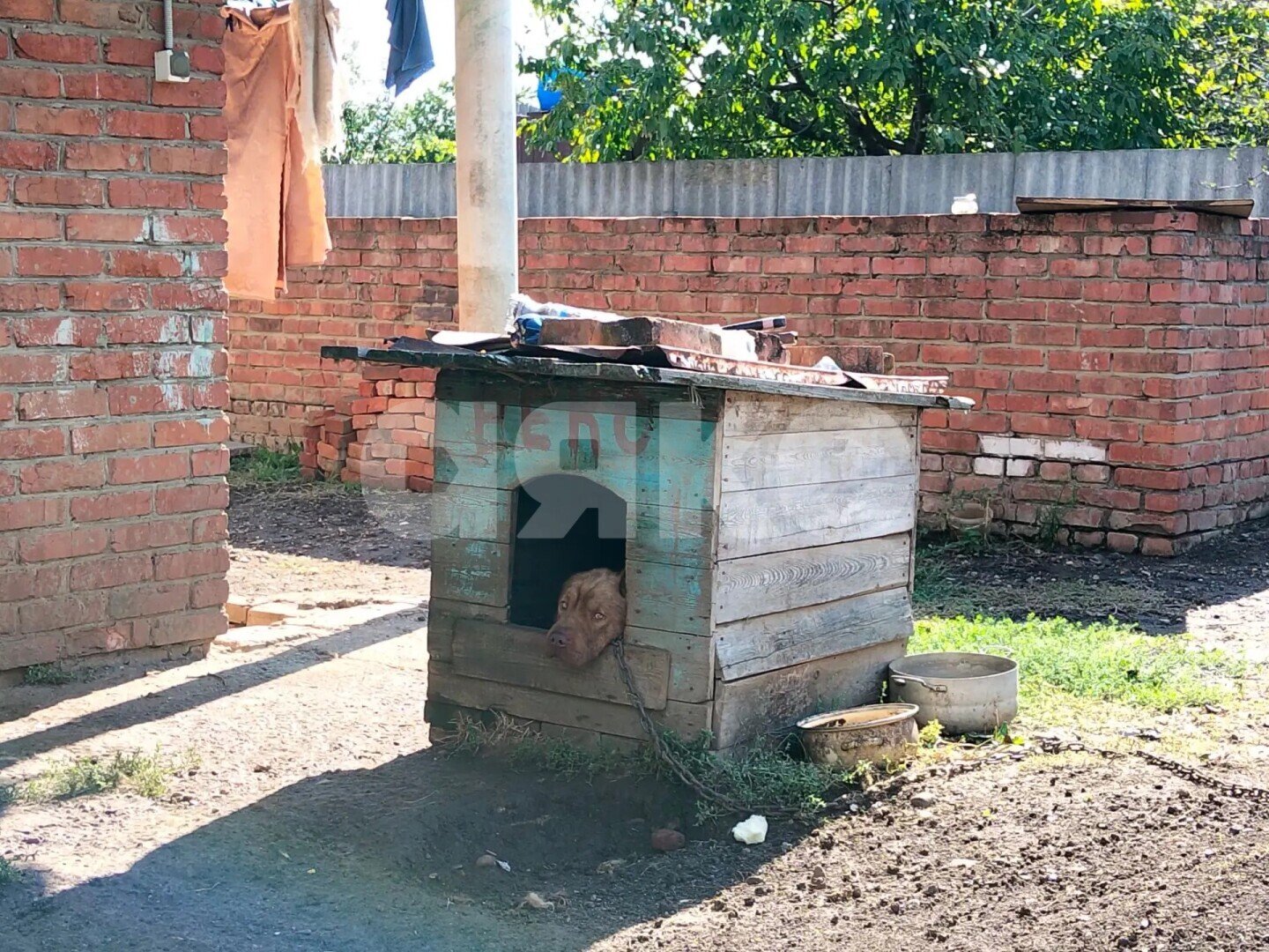 Фото №29: Коммерция 53&nbsp;м², -1/1&nbsp;эт. - Братский, ул. Пионерская, 18
