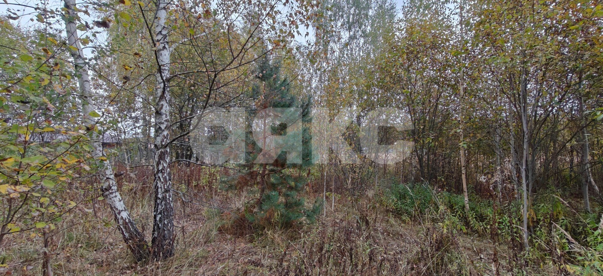 Фото №4: Земельный участок под ИЖС 15&nbsp;сот. - КП Зелёная опушка-2, ул. Заречная