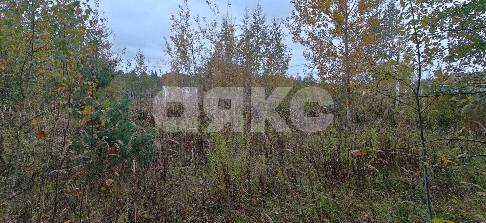 Фото №5: Земельный участок под ИЖС 15&nbsp;сот. - КП Зелёная опушка-2, ул. Заречная