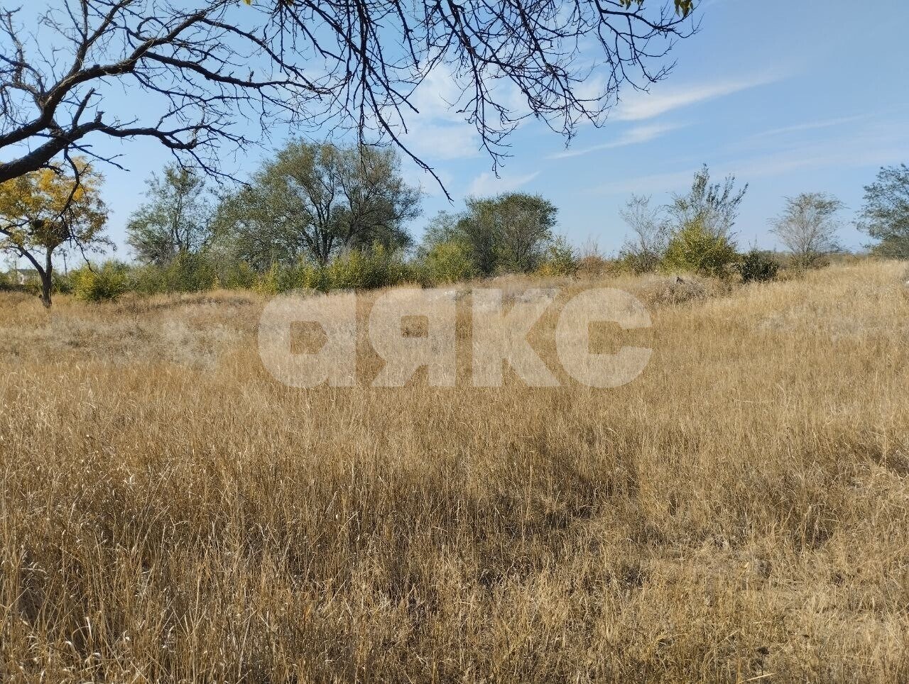 Фото №4: Земельный участок под ИЖС 6.73&nbsp;сот. - Луганск, р. Каменнобродский, ул. Хвойная
