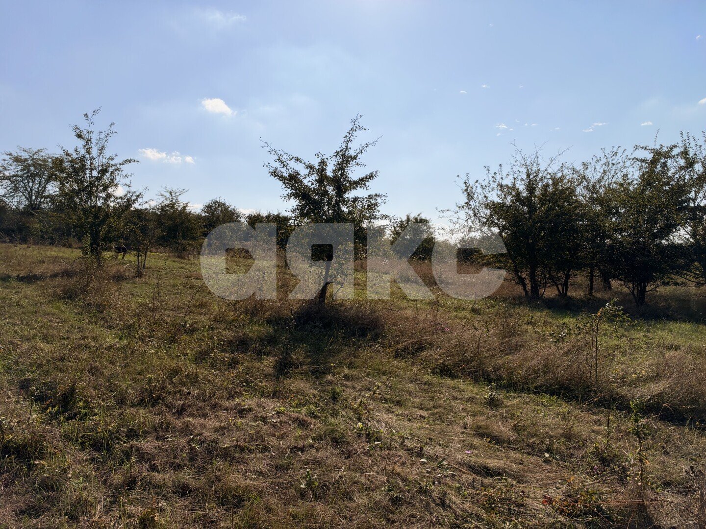 Фото №8: Земельный участок под ИЖС 15&nbsp;сот. - Мартанская, ул. Набережная