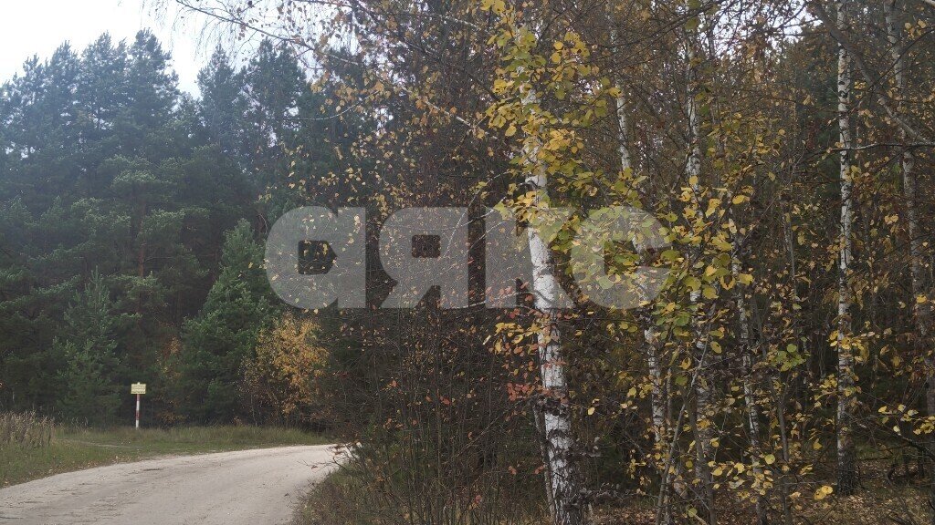 Фото №24: Дача 70&nbsp;м² + 12&nbsp;сот., 2&nbsp;эт. - Дальняя, 44