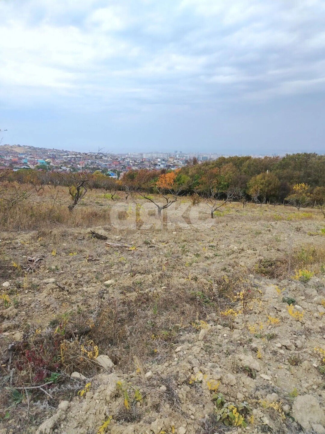 Фото №3: Земельный участок под ИЖС 150&nbsp;сот. - Супсех, ул. Виноградная