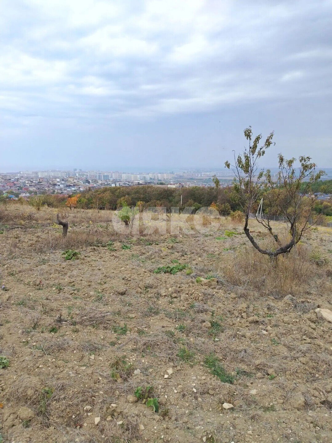 Фото №6: Земельный участок под ИЖС 150&nbsp;сот. - Супсех, ул. Виноградная