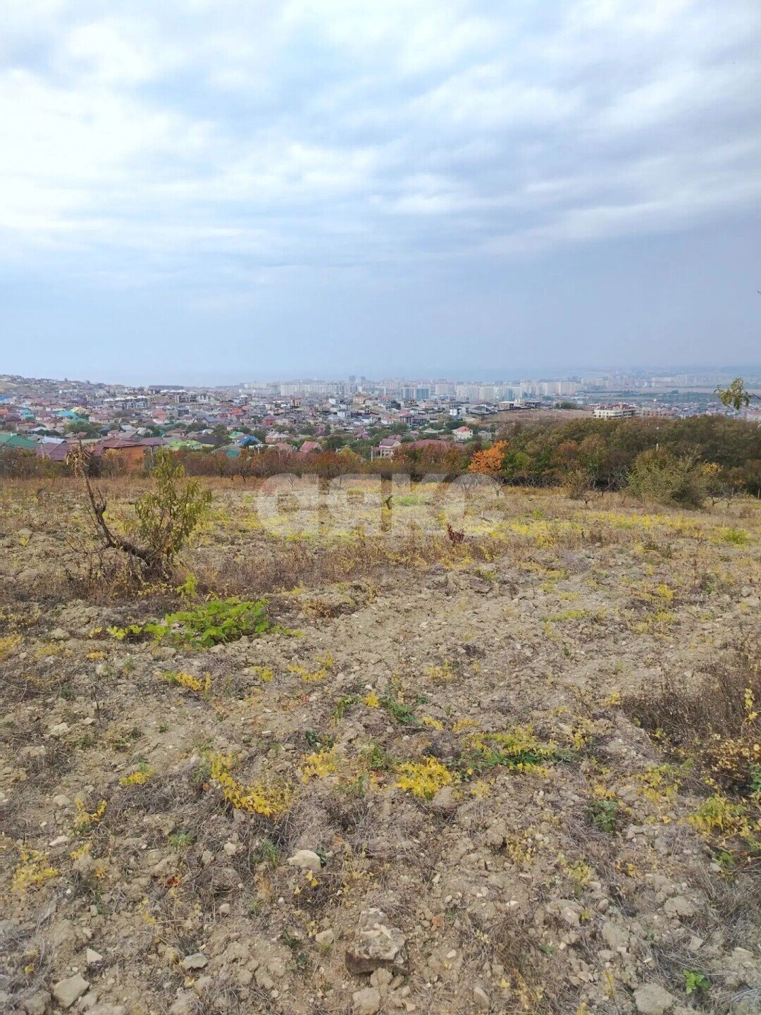 Фото №4: Земельный участок под ИЖС 150&nbsp;сот. - Супсех, ул. Виноградная