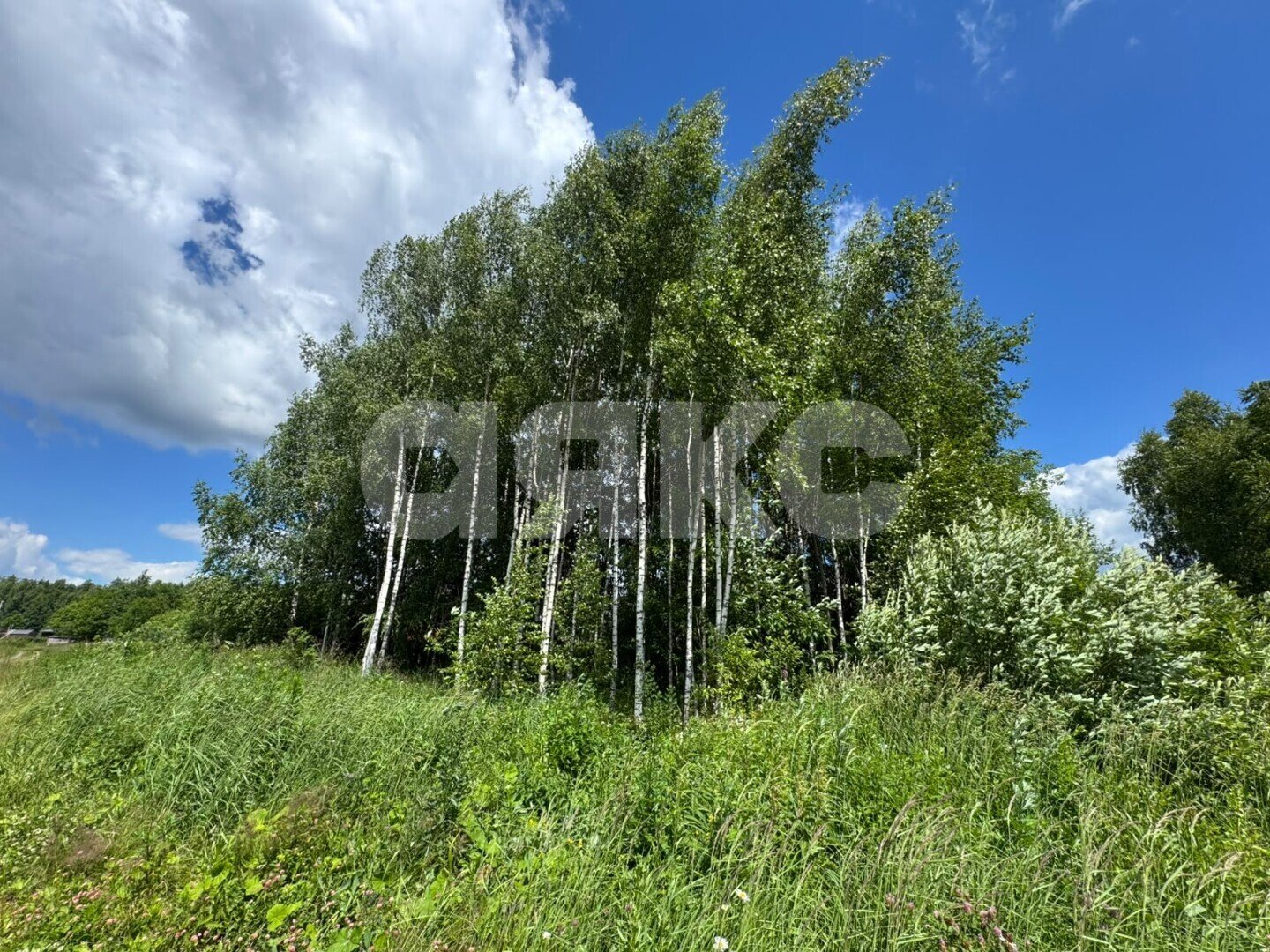 Фото №11: Участок садоводство 6.3&nbsp;сот. - ТСН Никульское, ул. Поперечная