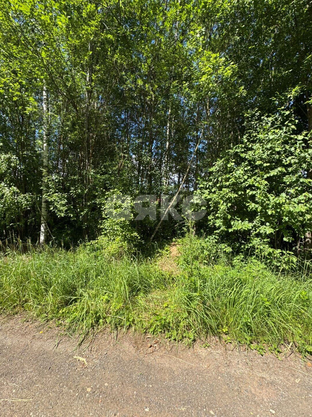 Фото №5: Участок садоводство 6.3&nbsp;сот. - ТСН Никульское, ул. Поперечная